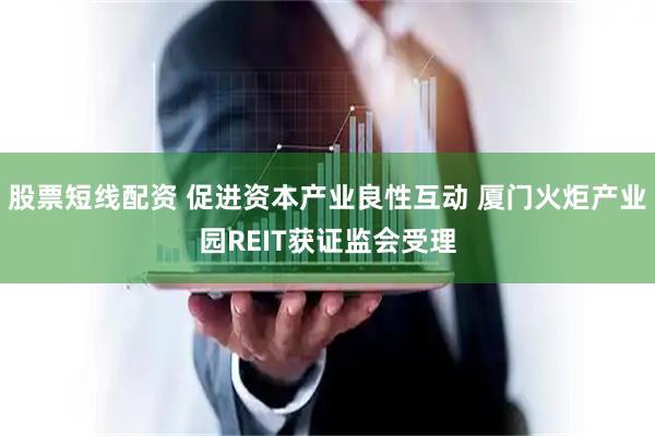 股票短线配资 促进资本产业良性互动 厦门火炬产业园REIT获证监会受理