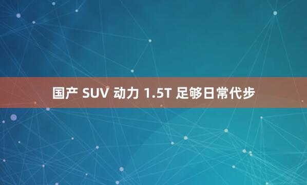 国产 SUV 动力 1.5T 足够日常代步