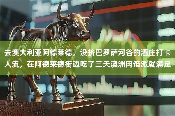 去澳大利亚阿德莱德，没挤巴罗萨河谷的酒庄打卡人流，在阿德莱德街边吃了三天澳洲肉馅派就满足