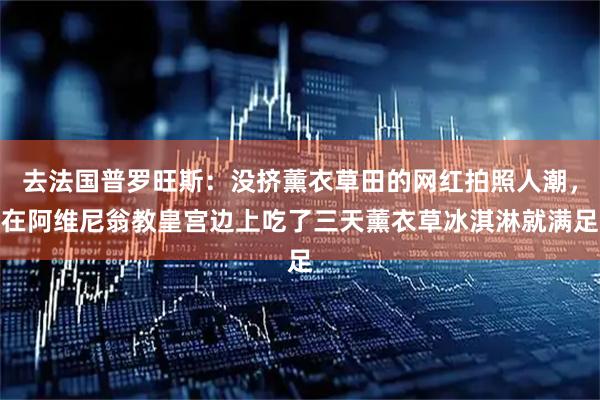 去法国普罗旺斯：没挤薰衣草田的网红拍照人潮，在阿维尼翁教皇宫边上吃了三天薰衣草冰淇淋就满足
