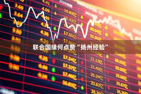 联合国缘何点赞“扬州经验”