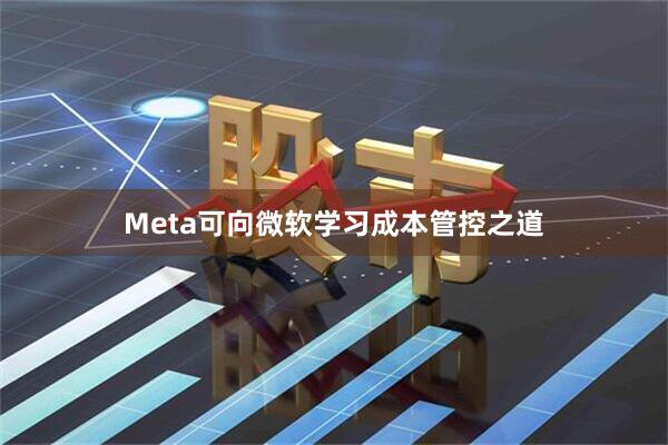 Meta可向微软学习成本管控之道